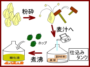 ビールの仕込み工程の漫画